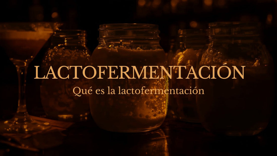 ¿Qué es la Lactofermentación?