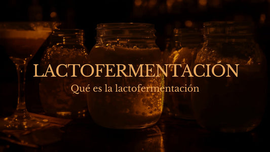 ¿Qué es la Lactofermentación?